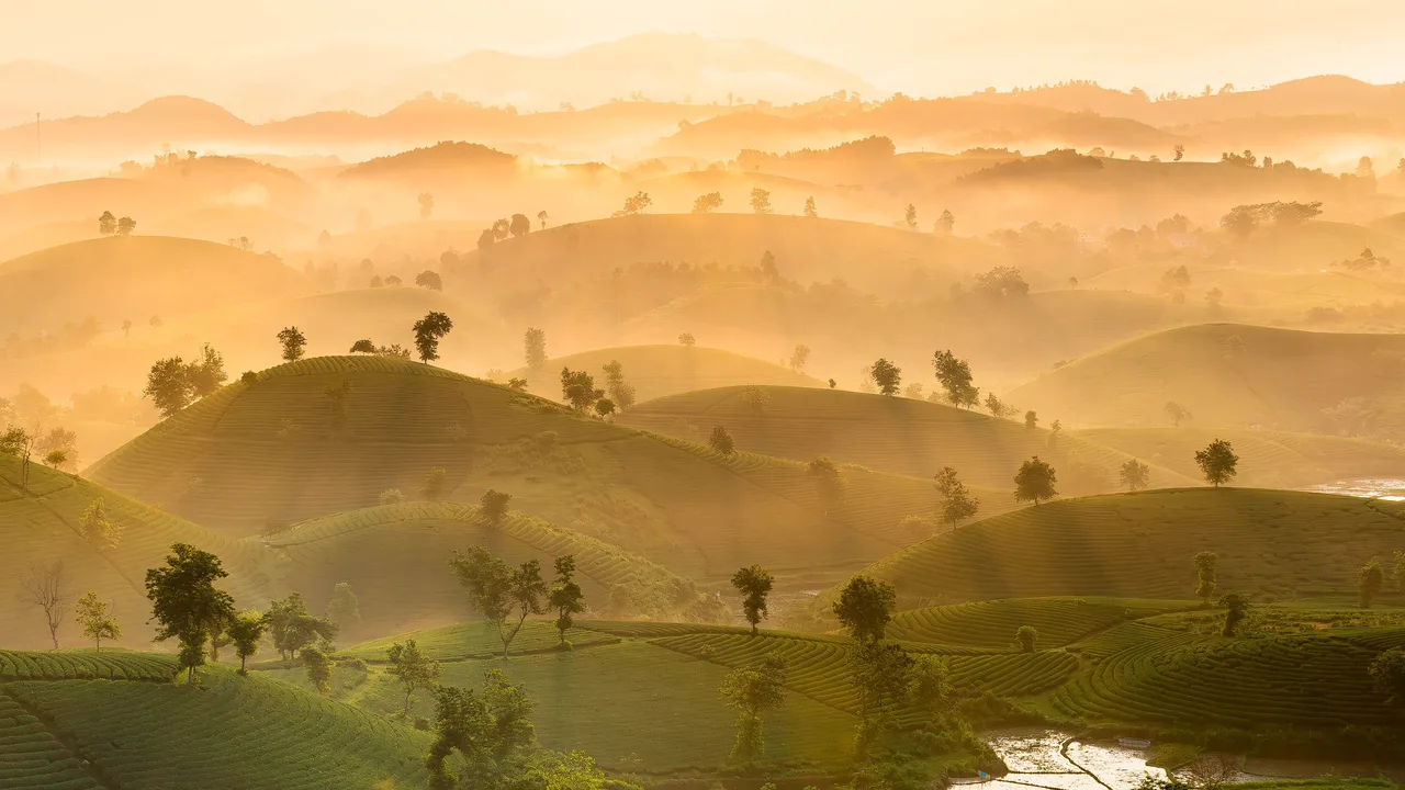 Golden morning mist over rolling hills